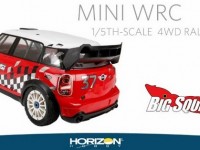 Losi 1/5 MINI WRC 4WD Rally Car Video